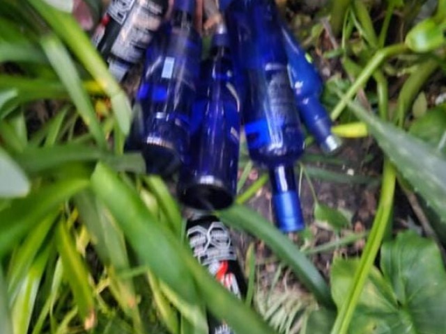 Dos menores demorados por robar bebidas de un comercio